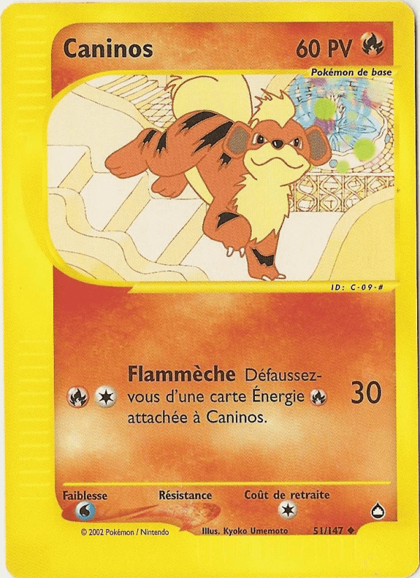 Caninos -  - 051 - Peu commune