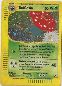 Rafflesia -  - H31 - Holographique