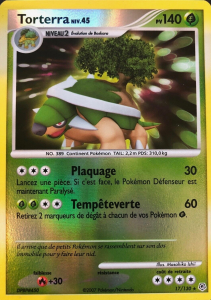 Torterra - Diamant & Perle - 017 - Holographique rare