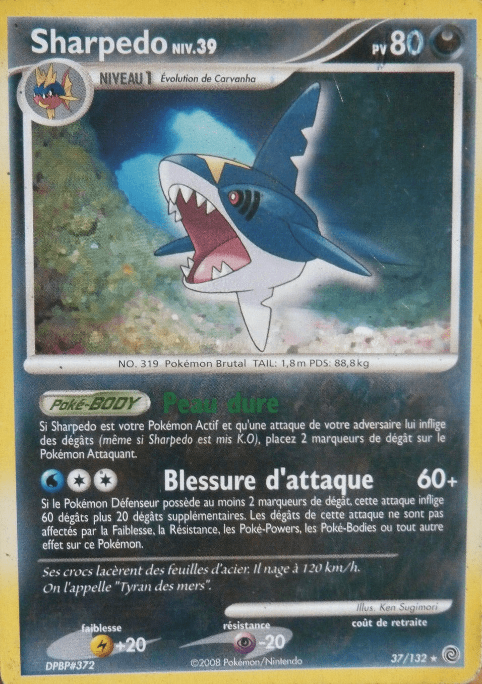 Sharpedo - DP Merveilles Secrètes - 037 - Rare