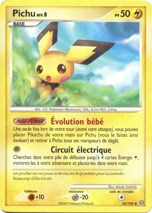 Pichu - DP Tempête - 045 - Commune