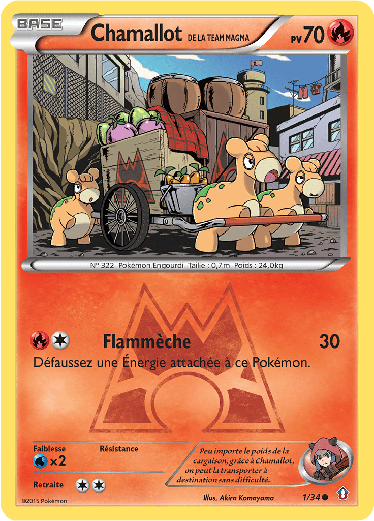 Chamallot de la Team Magma - Double Danger - 001 - Commune