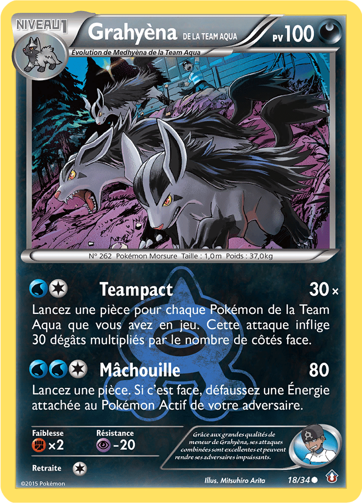 Grahyèna de la Team Aqua - Double Danger - 018 - Commune
