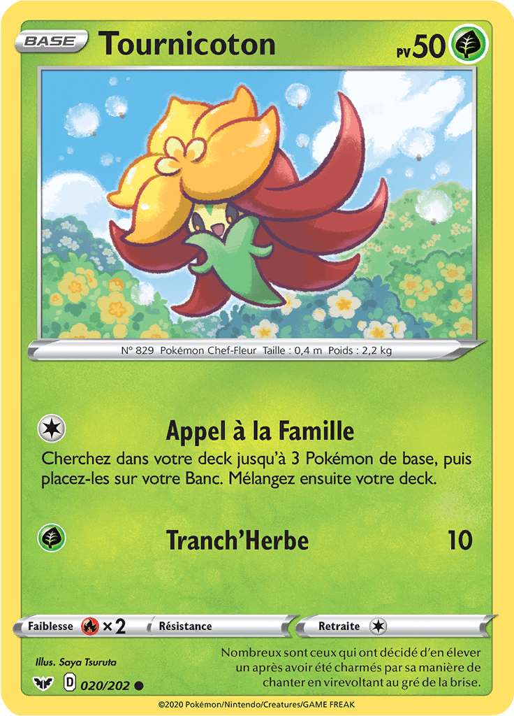 Tournicoton - Épée et Bouclier - 020 - Commune