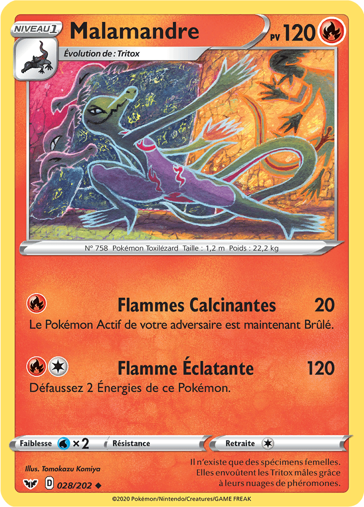 Malamandre - Épée et Bouclier - 028 - Peu commune