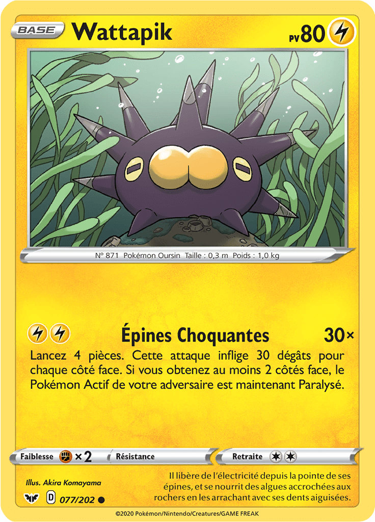 Wattapik - Épée et Bouclier - 077 - Commune