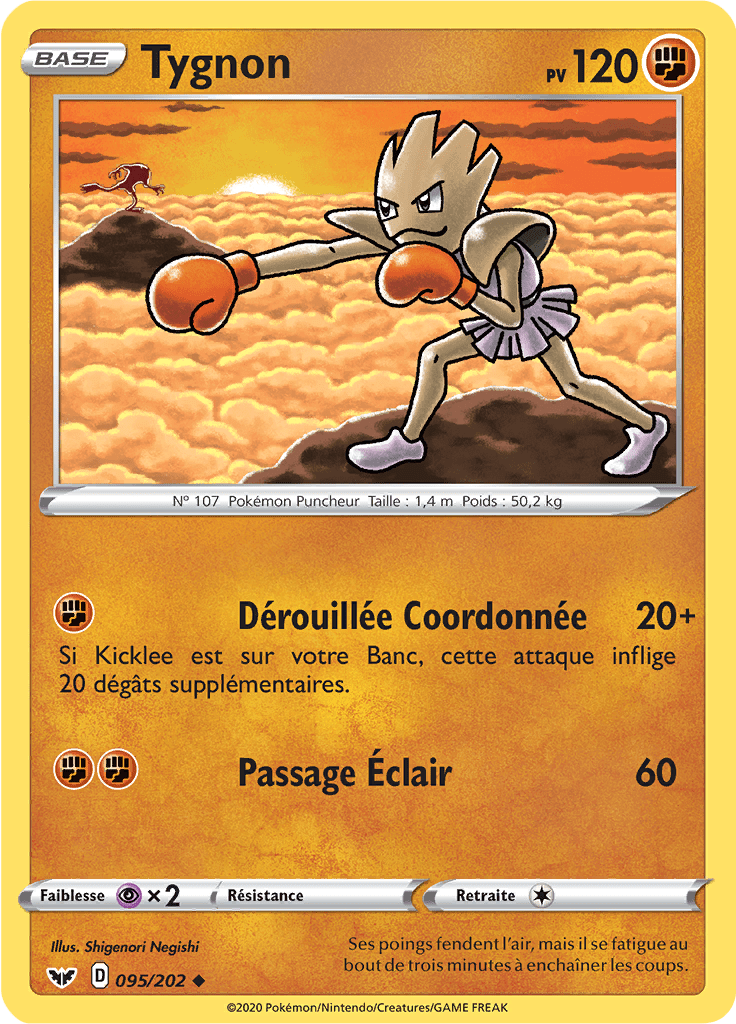 Tygnon - Épée et Bouclier - 095 - Peu commune