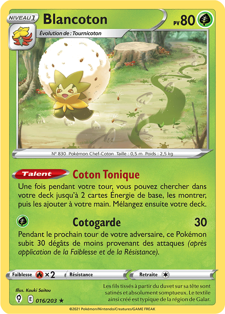 Blancoton - EB Évolution Céleste - 016 - Holographique rare