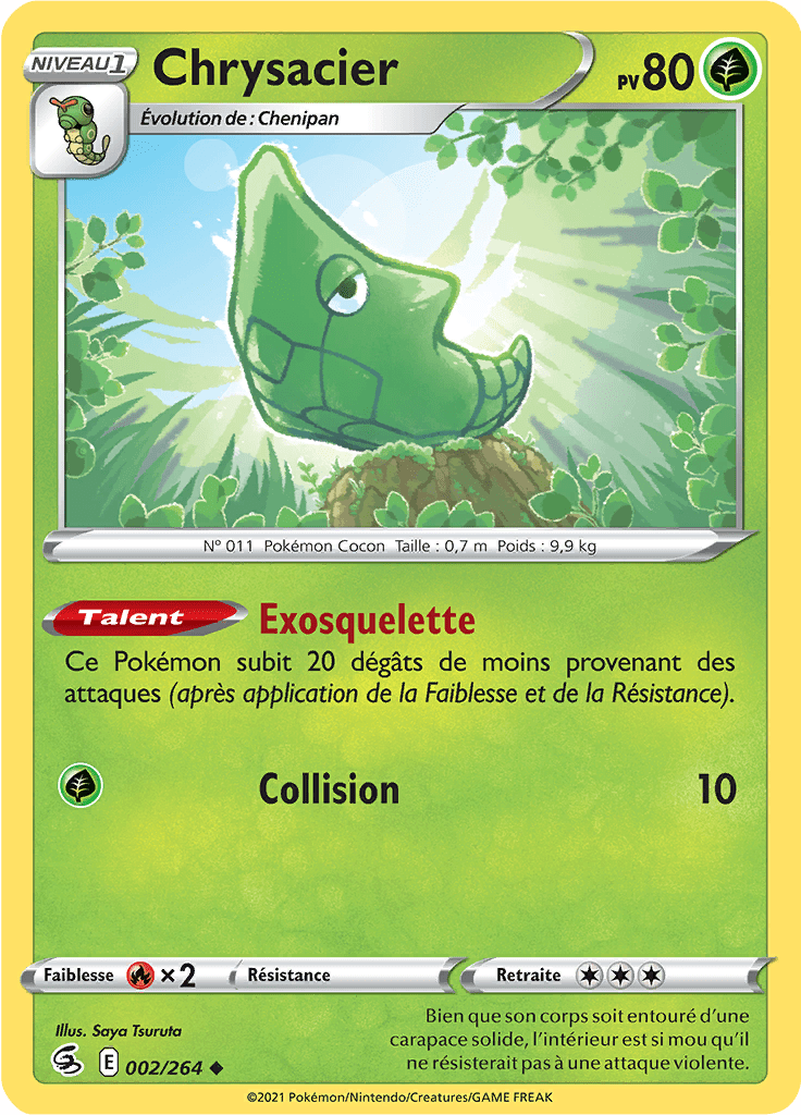 Chrysacier -  -  - Peu commune
