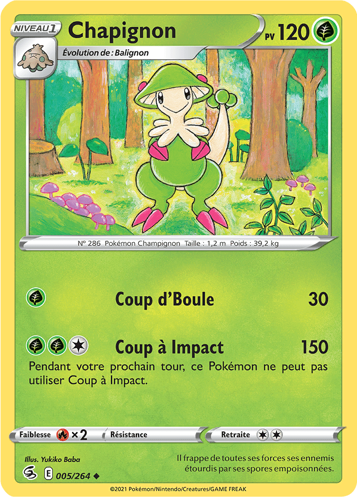 Chapignon -  -  - Peu commune