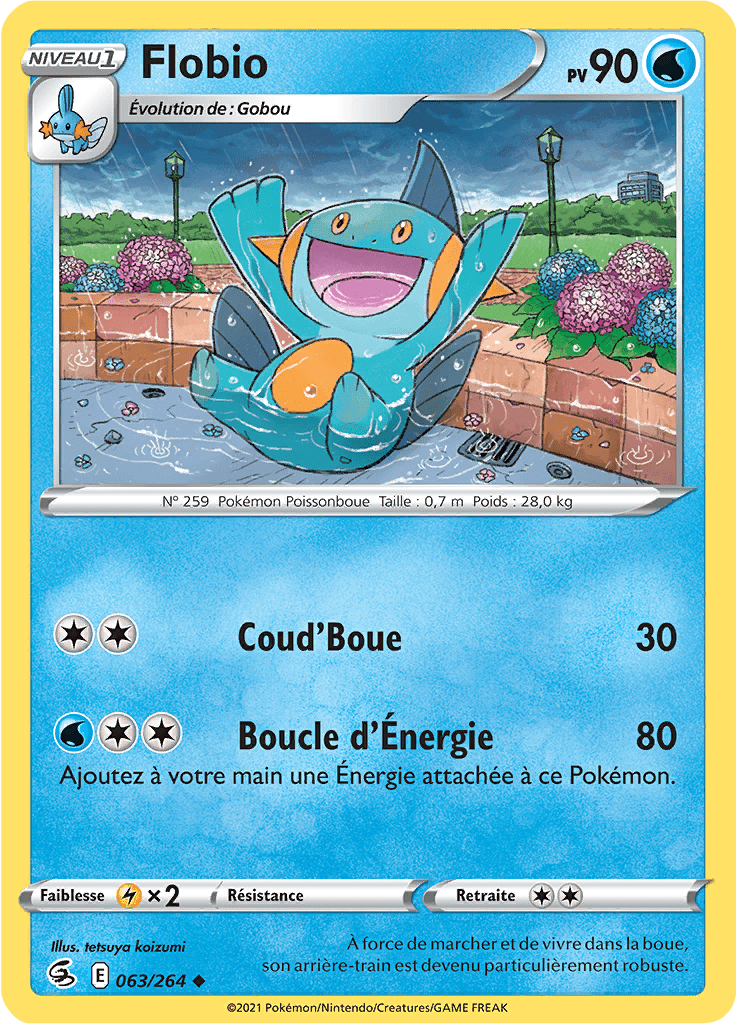 Flobio -  -  - Peu commune