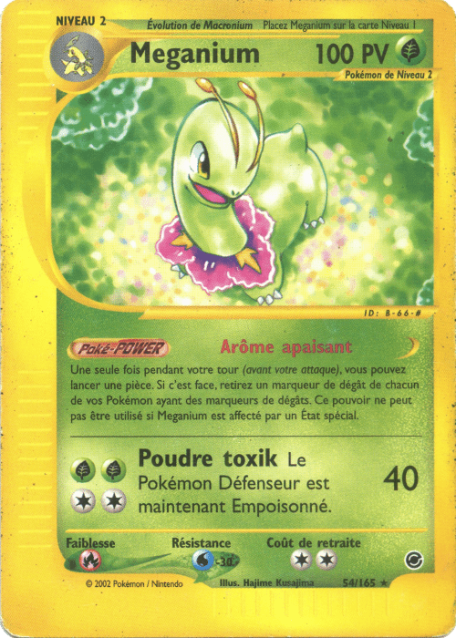 Meganium -  - 018 - Holographique