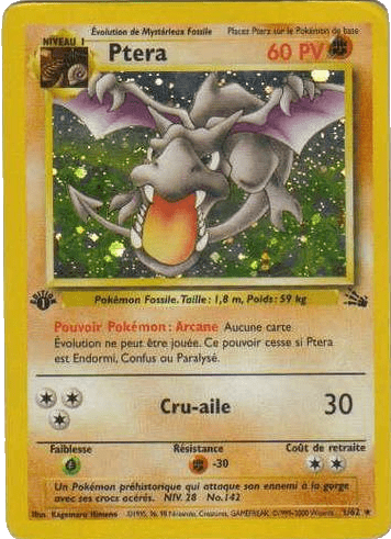 Ptera - Fossile - 001 - Holographique