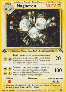 Magneton - Fossile - 011 - Holographique