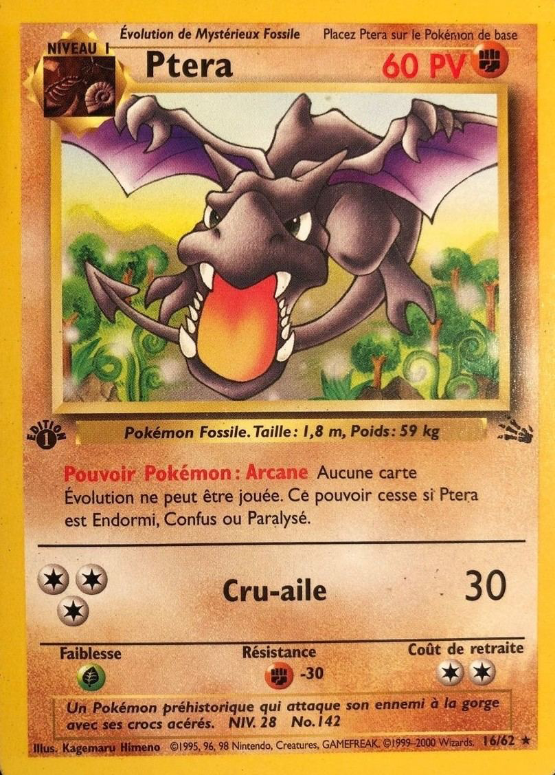 Ptera - Fossile - 016 - Rare