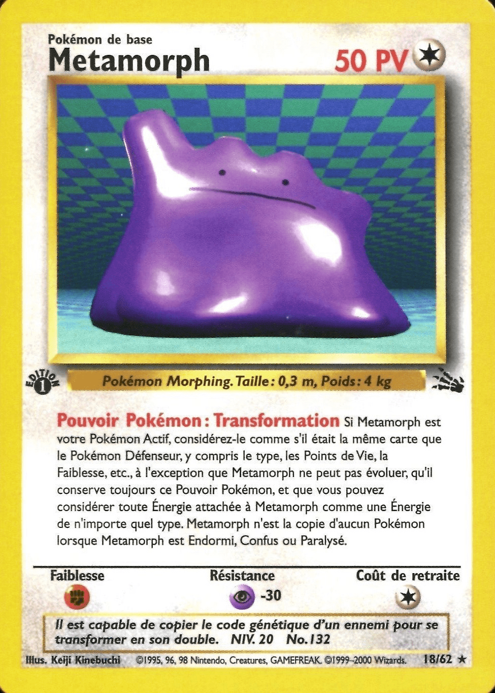 Metamorph - Fossile - 018 - Rare