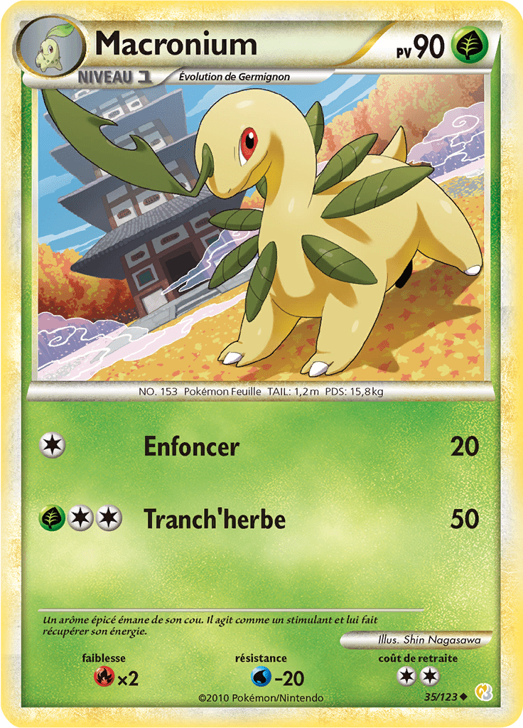 Macronium - HeartGold SoulSilver - 035 - Peu commune