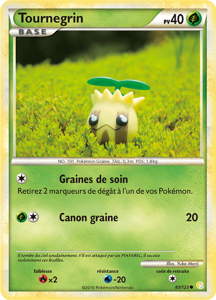 Tournegrin - HeartGold SoulSilver - 085 - Commune
