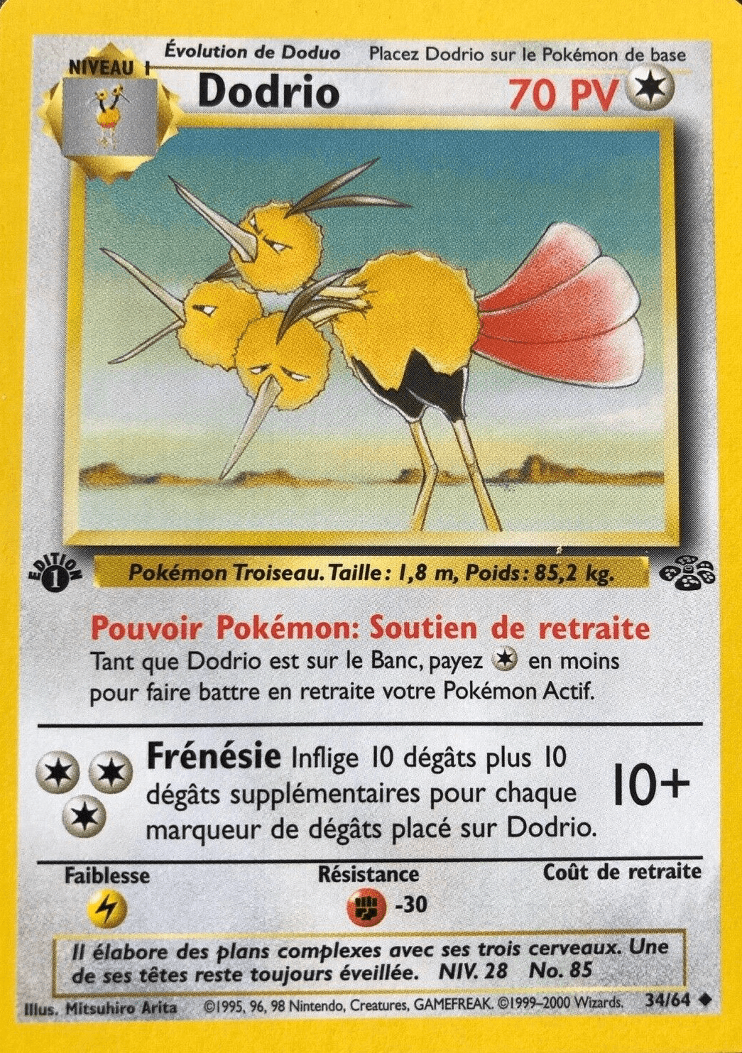 Dodrio - Jungle - 034 - Peu commune