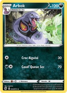 Arbok - La Voie du Maître - 034 - Peu commune
