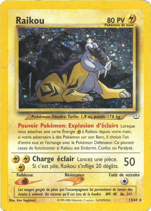 Raikou - Neo Revelation - 013 - Holographique