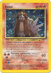 Entei - Neo Revelation - 006 - Holographique