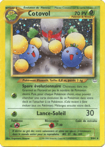 Cotovol - Neo Revelation - 009 - Holographique