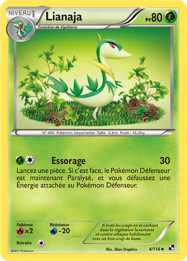 Lianaja - Noir & Blanc - 004 - Peu commune