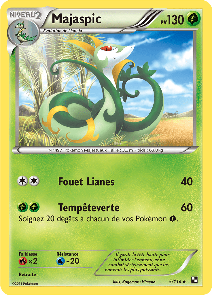 Majaspic - Noir & Blanc - 005 - Holographique rare