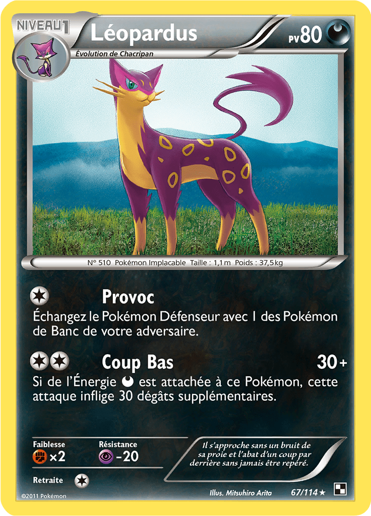 Léopardus - Noir & Blanc - 067 - Rare
