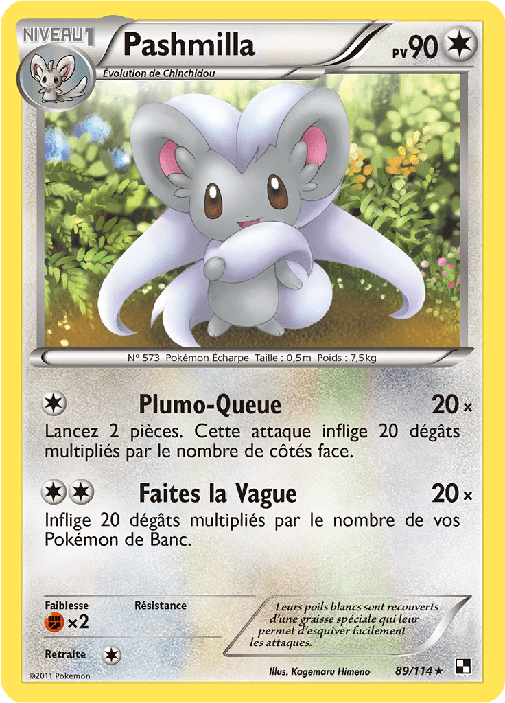 Pashmilla - Noir & Blanc - 089 - Rare