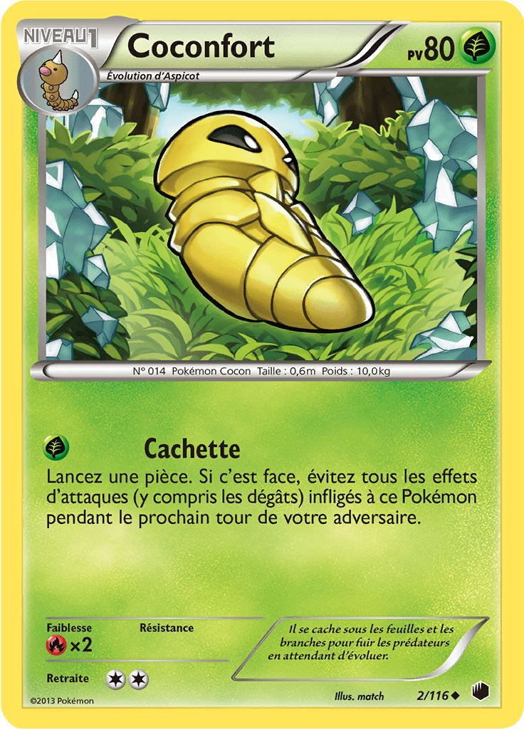Coconfort - NB Glaciation Plasma - 002 - Peu commune