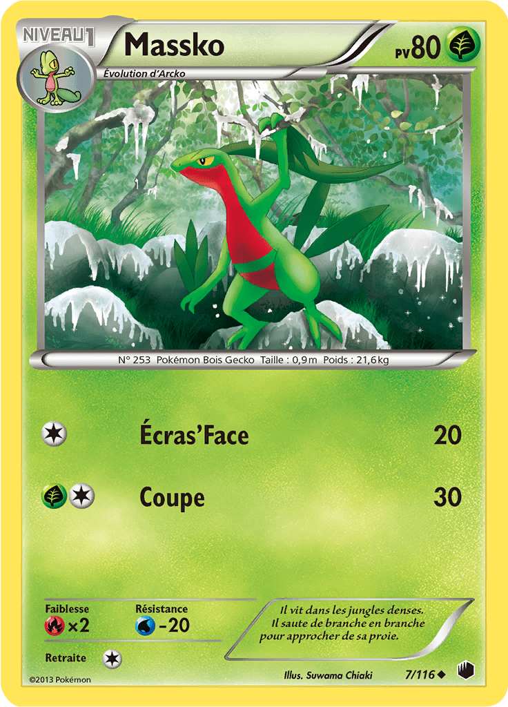 Massko - NB Glaciation Plasma - 007 - Peu commune