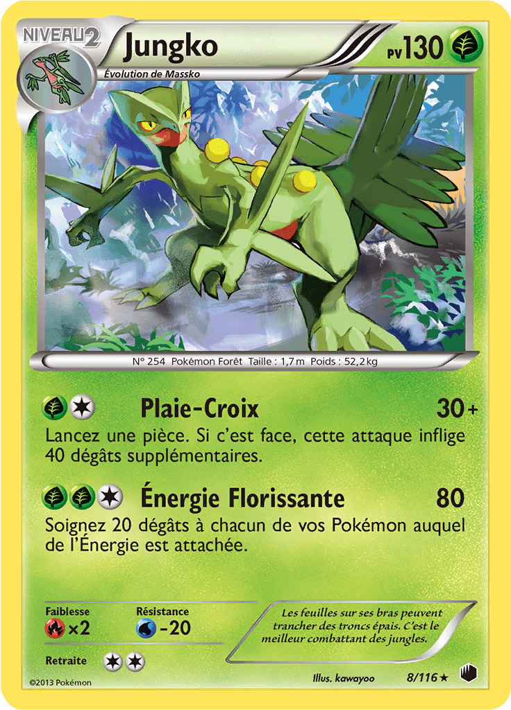 Jungko - NB Glaciation Plasma - 008 - Holographique rare