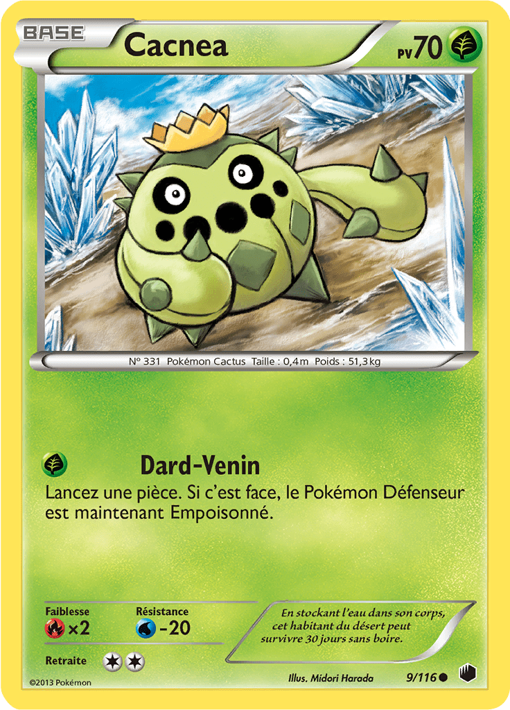 Cacnea - NB Glaciation Plasma - 009 - Commune