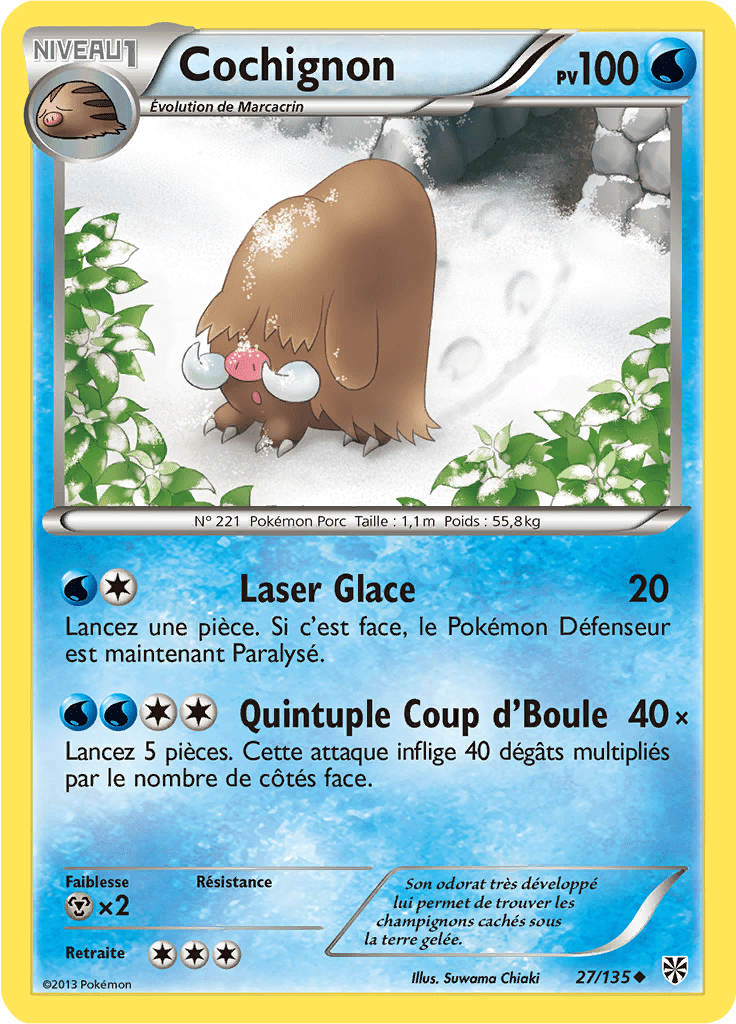 Cochignon - NB Tempête Plasma - 027 - Peu commune