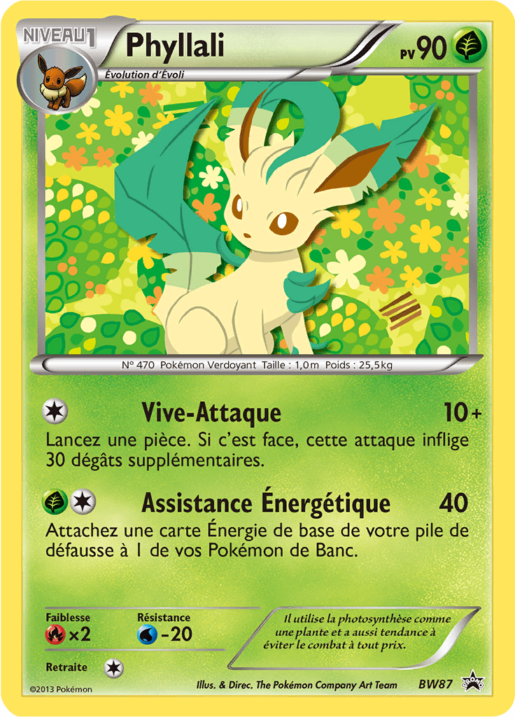 Phyllali - Promo BW - BW87 - Commune