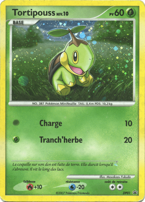 Tortipouss NIV.10 - Promo DP - DP01 - Commune