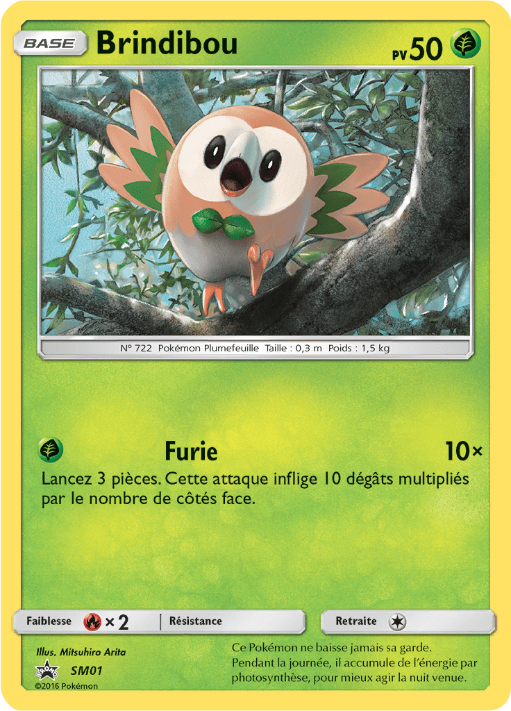 Brindibou - Promo SM - SM01 - Commune