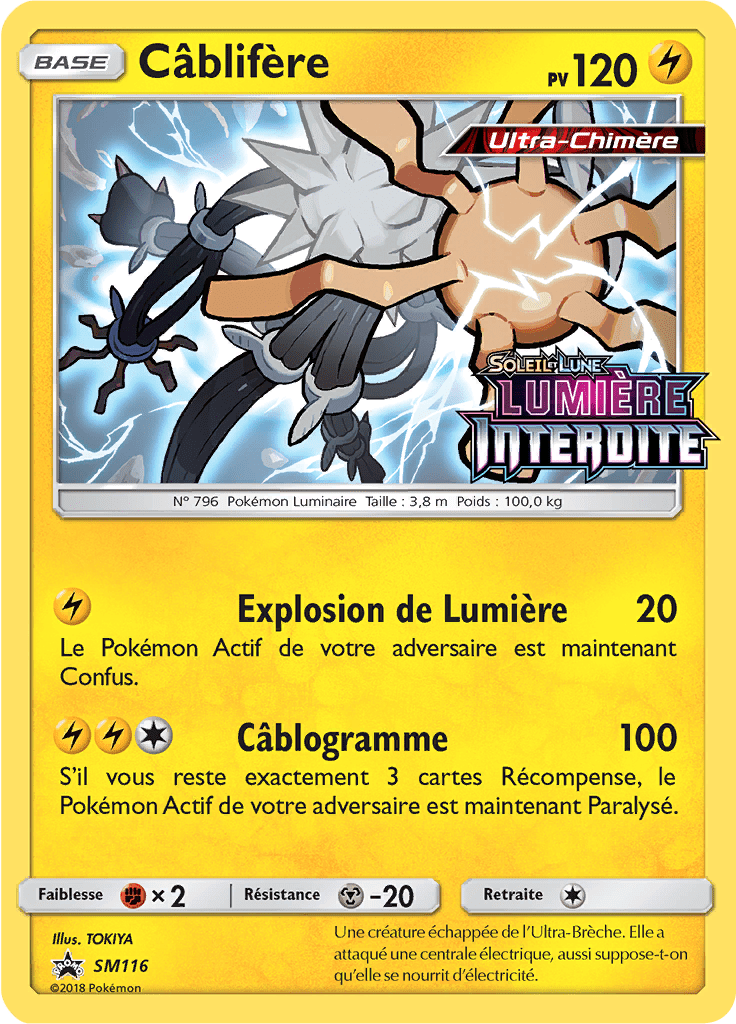 Câblifère - Promo SM - SM116 - Commune