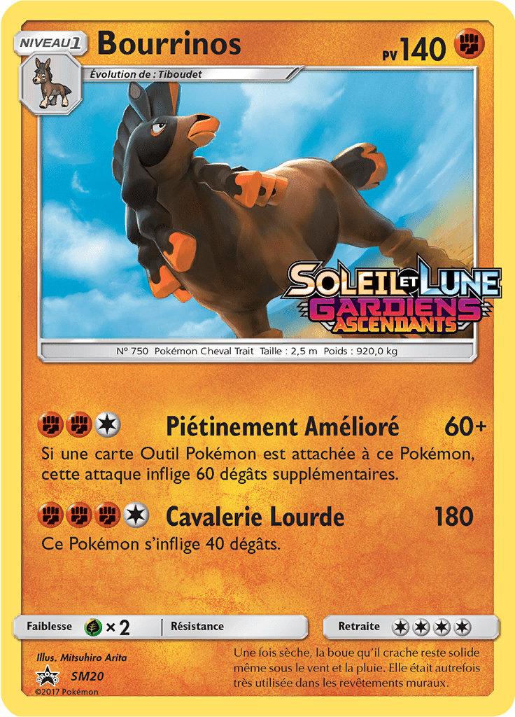 Bourrinos - Promo SM - SM20 - Commune