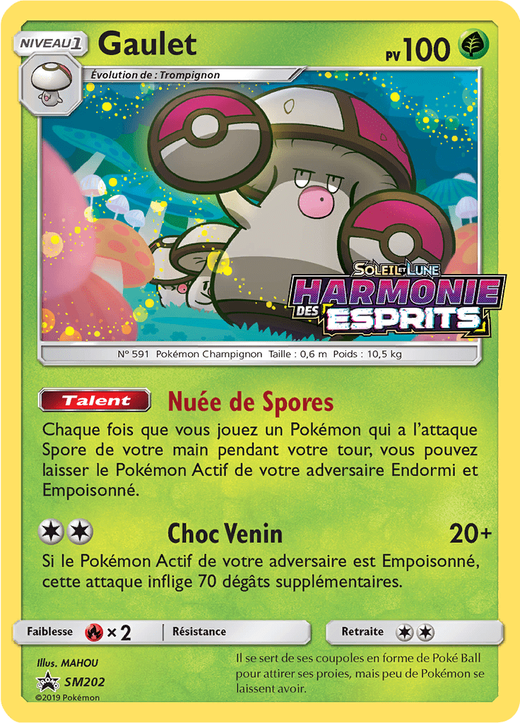 Gaulet - Promo SM - SM202 - Commune
