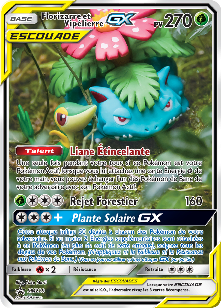 Florizarre et Vipélierre GX - Promo SM - SM229 - Commune