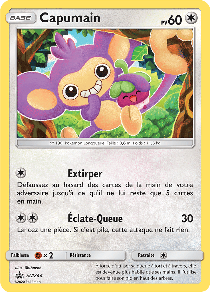 Capumain - Promo SM - SM244 - Commune