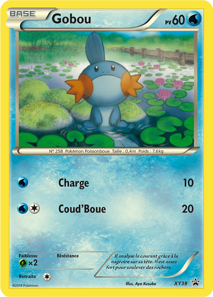 Gobou - Promo XY - XY38 - Commune