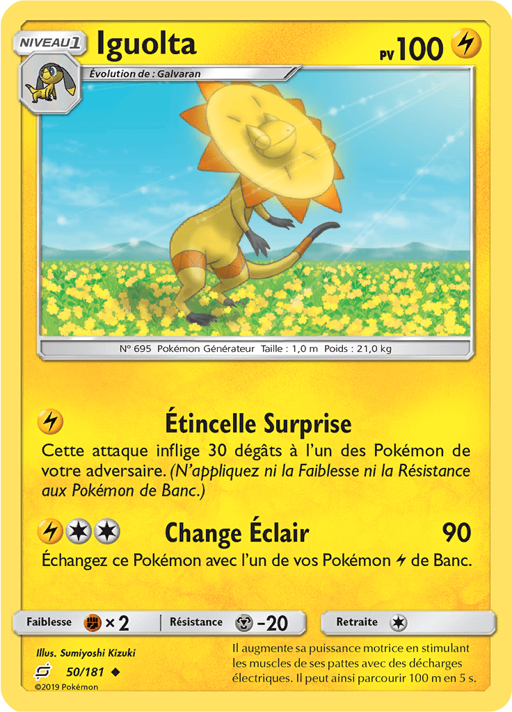 Iguolta - SL Duo de Choc - 050 - Peu commune