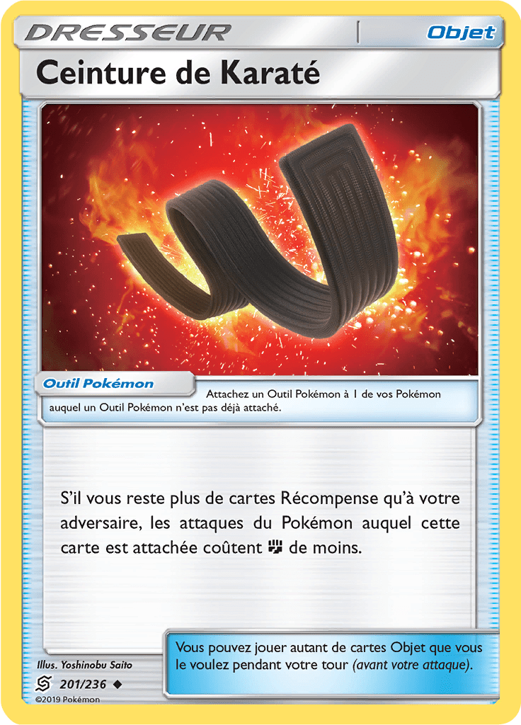 Ceinture de Karaté - SL Harmonie des Esprits - 201 - Peu commune