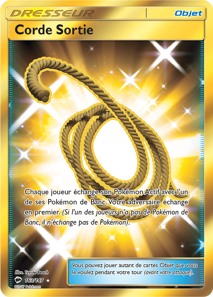 Corde Sortie - SL Ombres Ardentes - 163 - Trainer gold