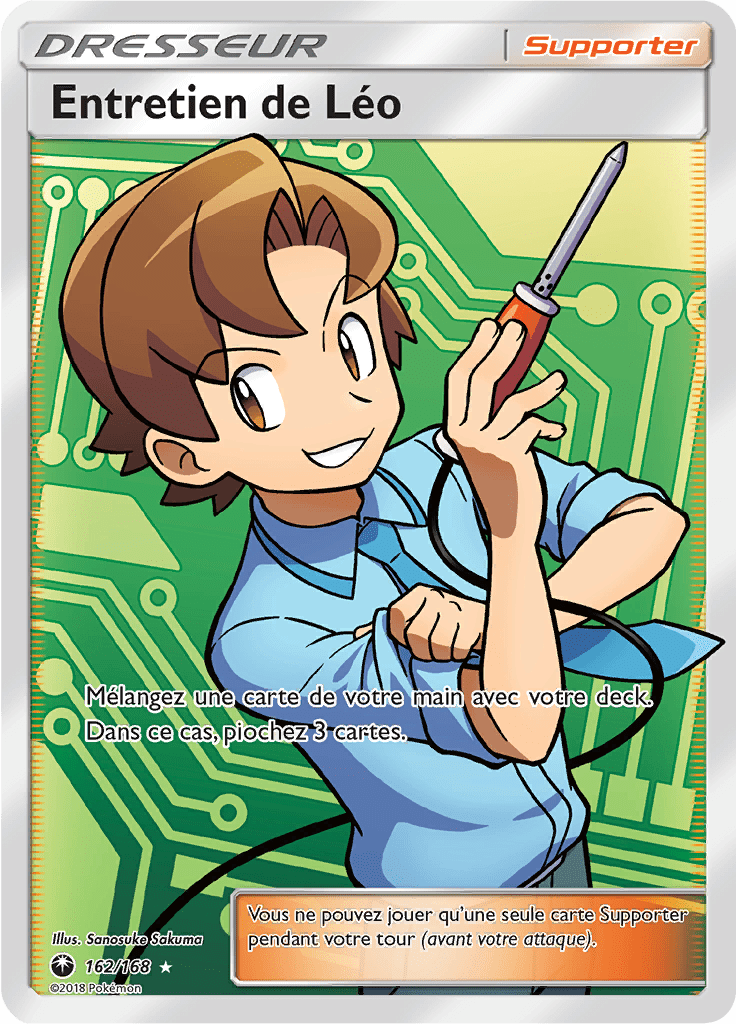Entretien de Léo - SL Tempête Céleste - 162 - Trainer Full Art