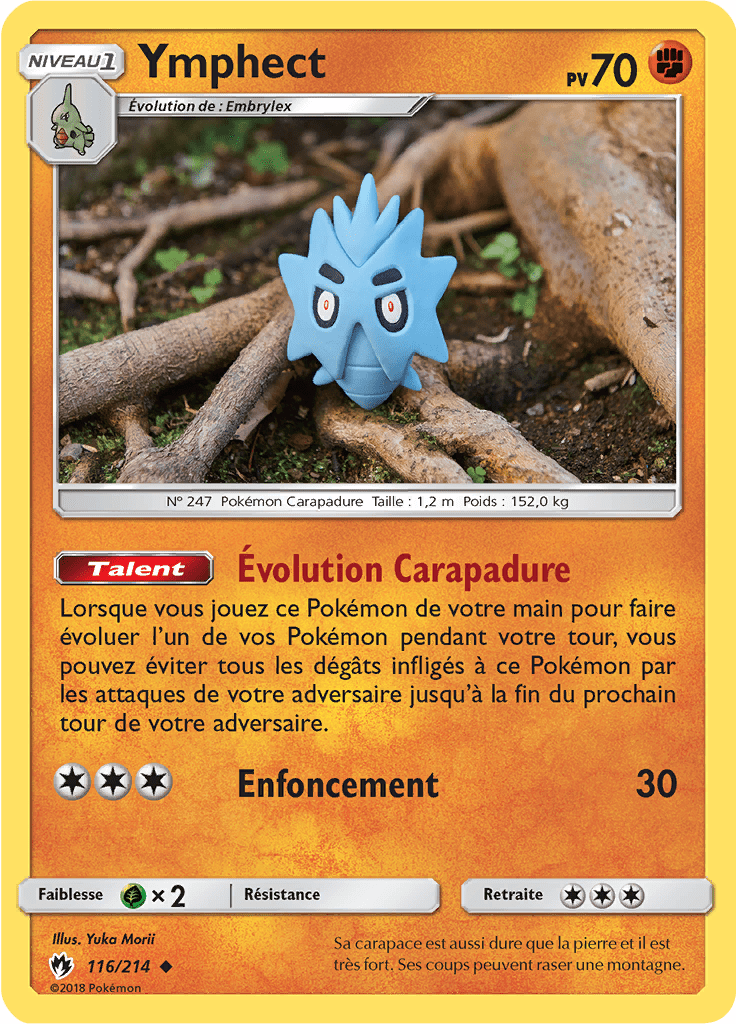 Ymphect - SL Tonnerre Perdu - 116 - Peu commune